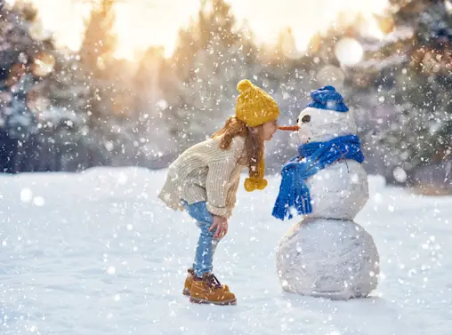 What do you call it when a snowman ignores you? image