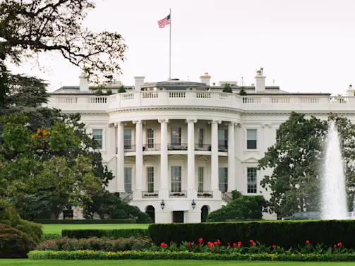 Toddler Slips Through Fence, Briefly Breaches White House Lawn-1