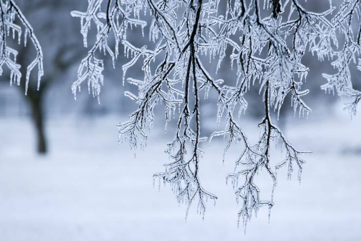  You have to be very careful in an ice storm. image