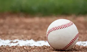 What animal loves a baseball game? image