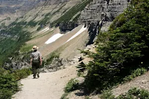 Why did the park ranger quit his job? image