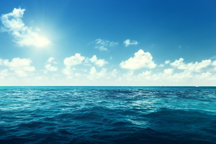  What's the ocean's favorite song? image
