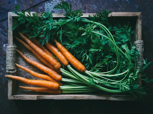 Carrots Are Orange Now