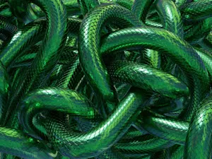 Snake Breeder Found Dead — It Wasn’t a Snake