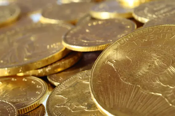 Unbelievable Find Dog Walk Leads to $10 Million Treasure in California Backyard-1