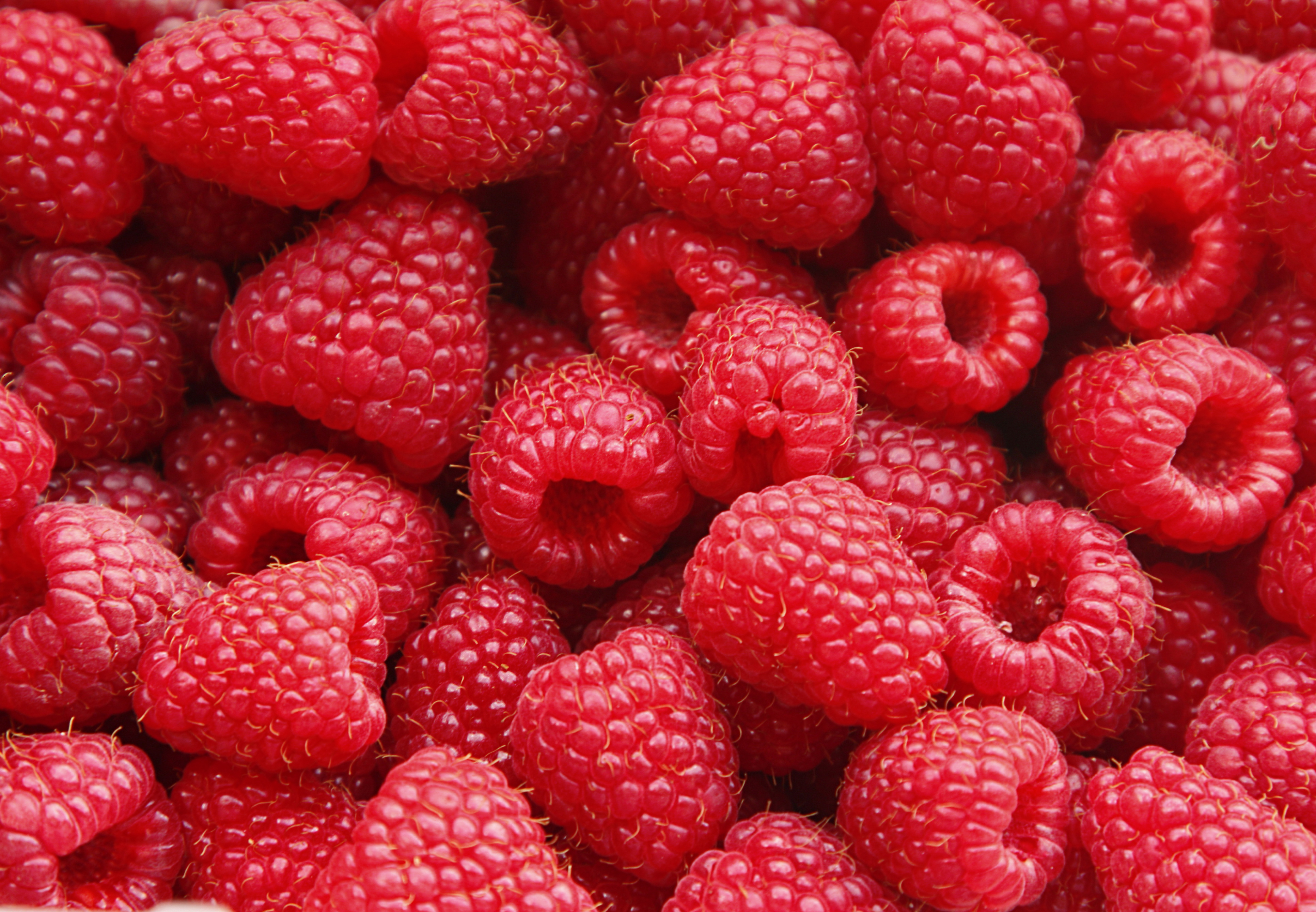 What did the raspberry say to his valentine? image
