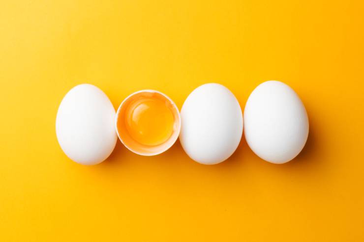  Why don't eggs tell each other jokes? image