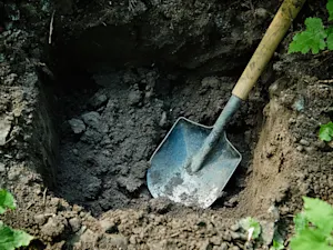 Roommate's Chilling Confession Leads to Gruesome Backyard Discovery-1