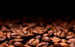 Why is the coffee bean so sensitive? image