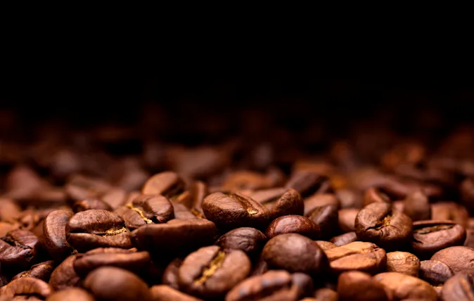 Why is the coffee bean so sensitive? image