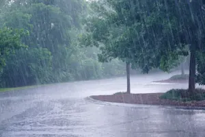 What goes up when the rain comes down? image