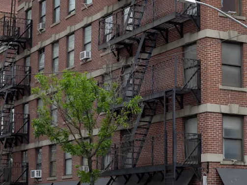 ‘Surrounded by Filth’: 48 Dogs Rescued from NYC Apartment of Horror