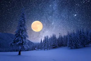 What do stars celebrate in December? image