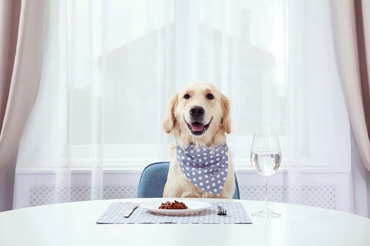  What is the only kind of dog you can eat? image