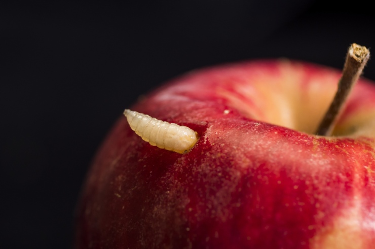  Who is the worm's Prime Minister? image