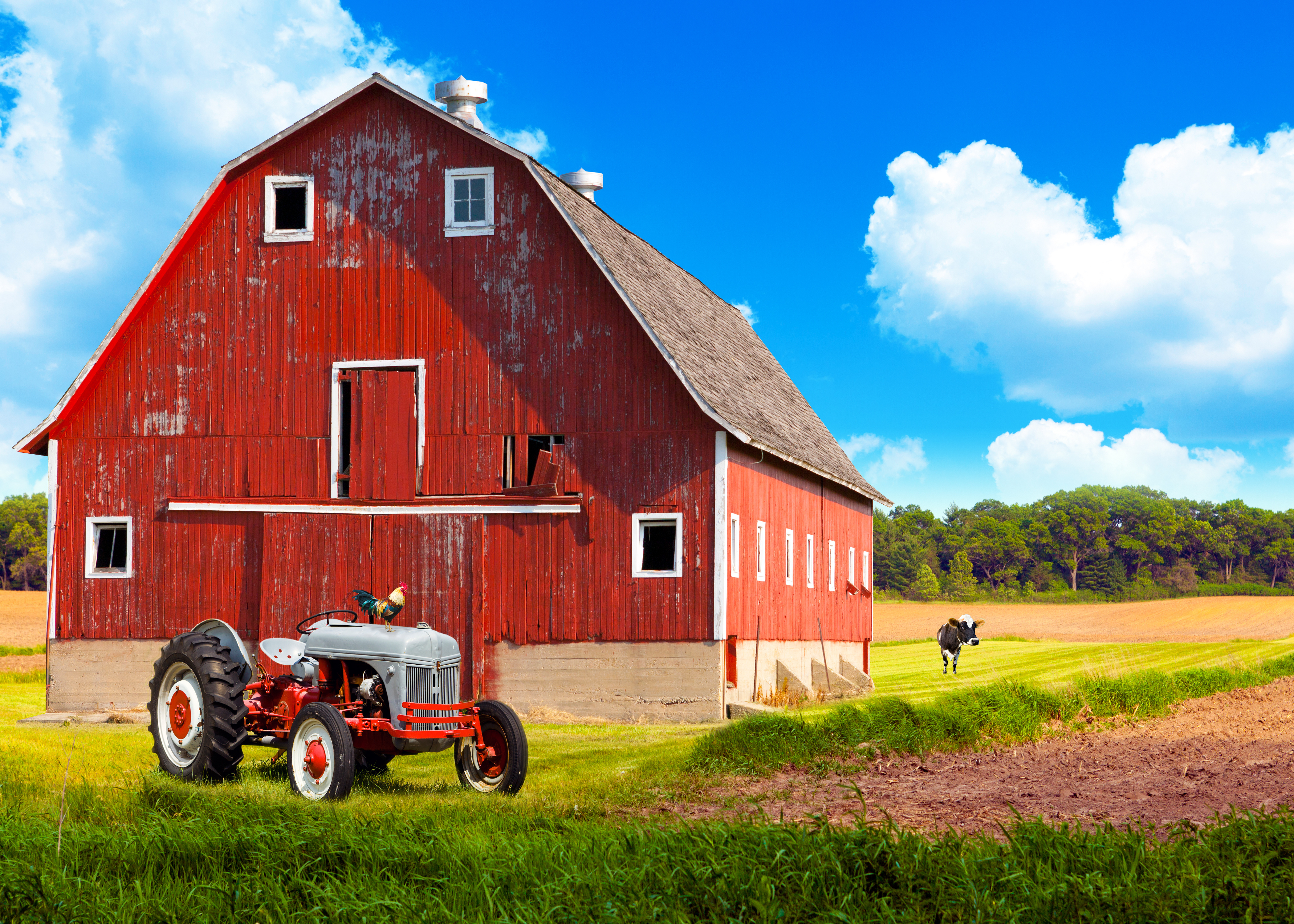 Why does a barn sound so noisy? image