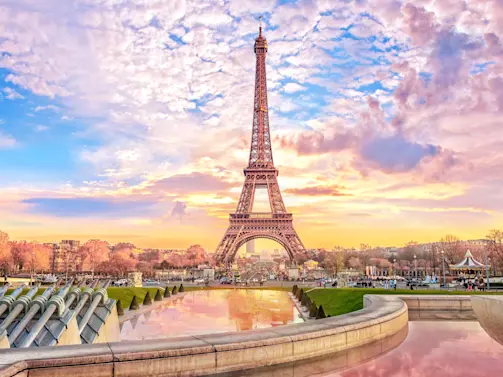 Waiters in Paris Battle for Glory in High-Stakes Café Race!-1