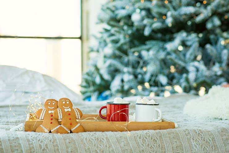  What did the Gingerbread Man put on his bed? image