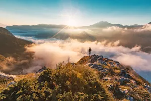 How did the geologist get down from the mountain? image