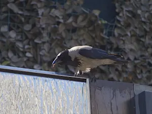 AdobeStock 280212668