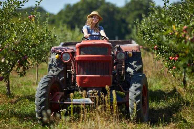  How do you get a country girl to like you? image