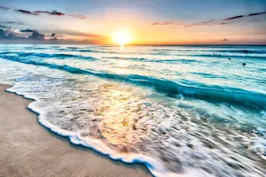 What washes up on miniature beaches? image