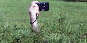 voyeuristic
