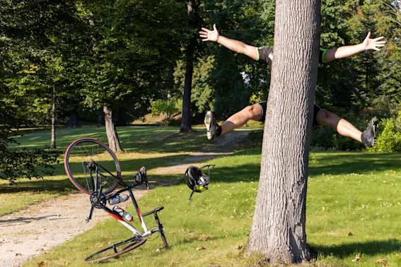You Wood Knot Be-leaf How Funny These 20 Tree Jokes Are