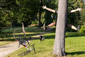 You Wood Knot Be-leaf How Funny These 20 Tree Jokes Are