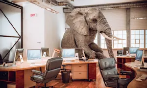 How do elephants talk to each other from long distances? image