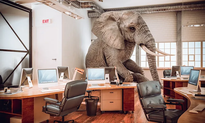 How do elephants talk to each other from long distances? image