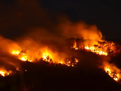 Airbnb’s Wildfire Relief Program — Helping Hand or Hollow Gesture?-1