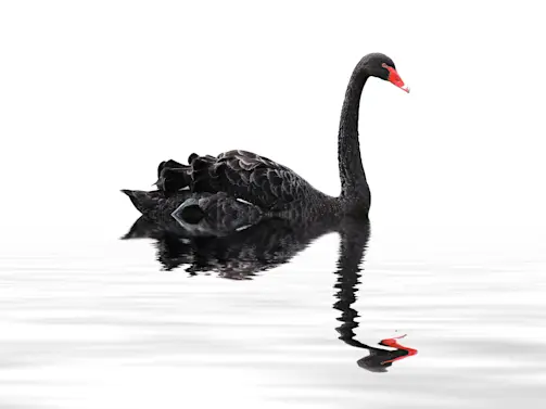 The Unpredictable Future: Are We Ready for 2025’s Black Swan Events?