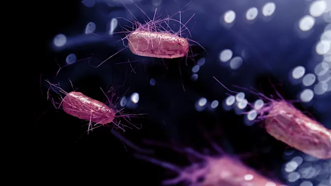 Everything You Need to Know About E. Coli Outbreaks-1