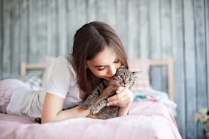 How are teens like cats? image