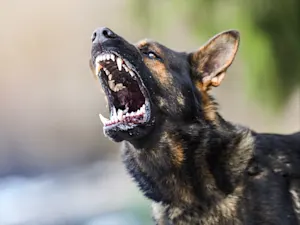 AdobeStock 301196098