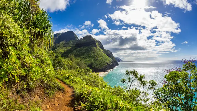 Hawaii Doctor's Shocking Birthday Surprise for His Wife – Attempted Murder
