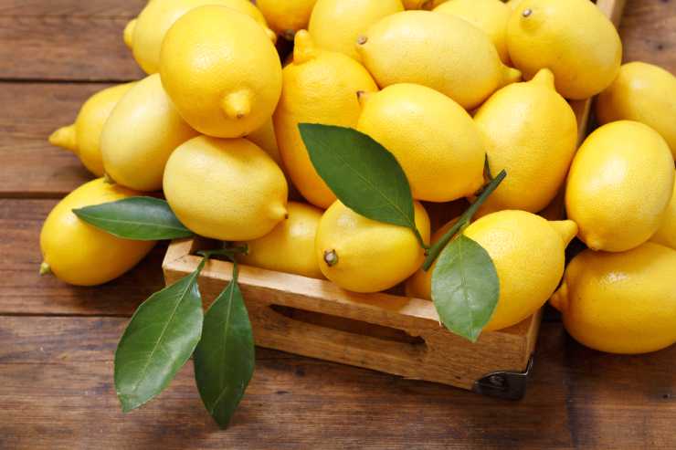 What do you give a sick lemon? image