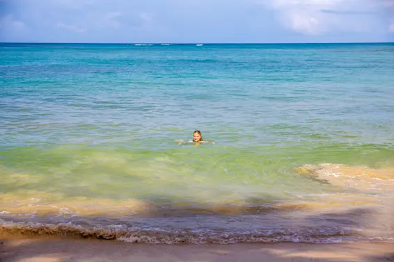 Vanished in Aruba: The Robyn Gardner Case-1