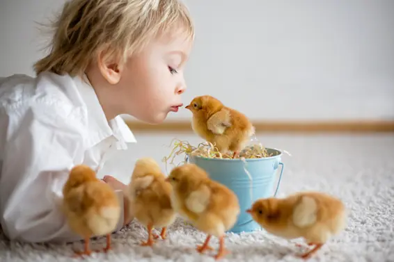 10 of the Cutest Farm Animal Photos You've Ever Seen-1