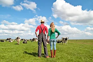 What did the farmer give his wife for Valentine's Day?