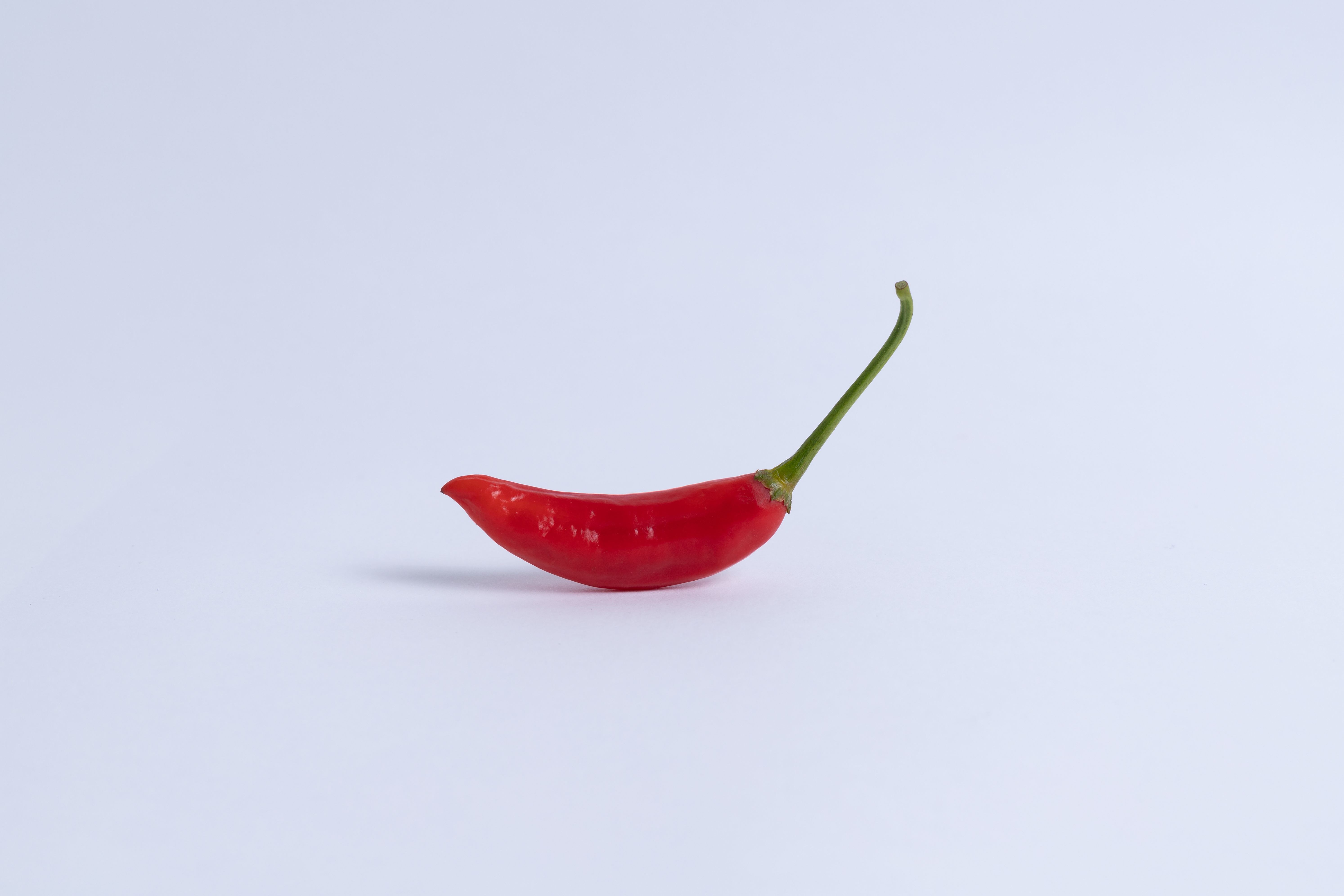 What do you call a small pepper in late autumn? image
