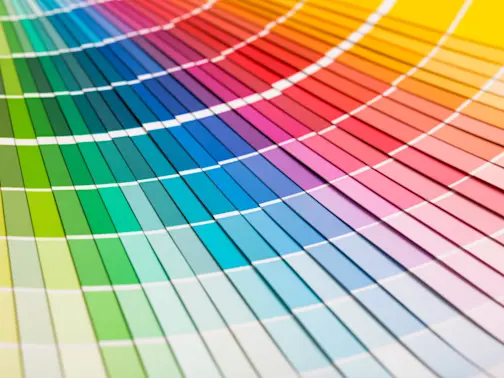 The Journey to Pantone’s Color of the Year-1