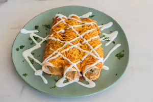 Freezer Enchiladas (10)
