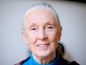 Jane Goodall 2010