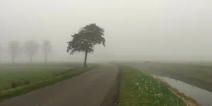 hazy