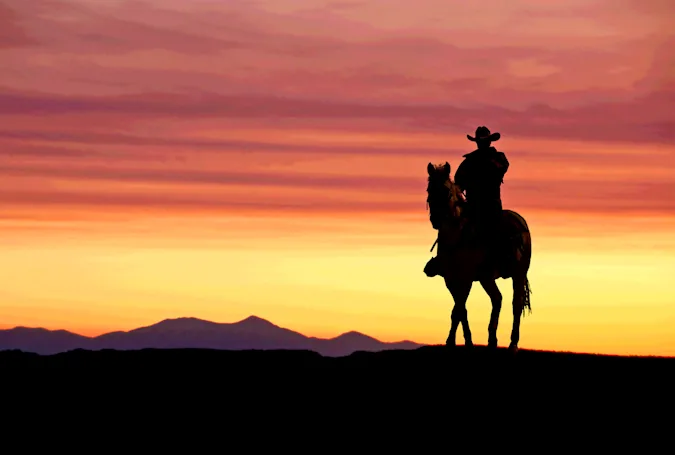 What do you call a cowboy who pursues a career in banking? image