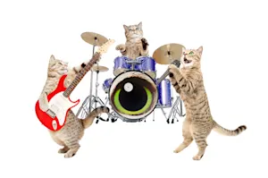 Why did the cats ask for a drum set? image