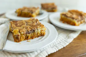 Marble Gooey Bars