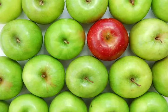 The Chilling Truth About Supermarket Apples -1